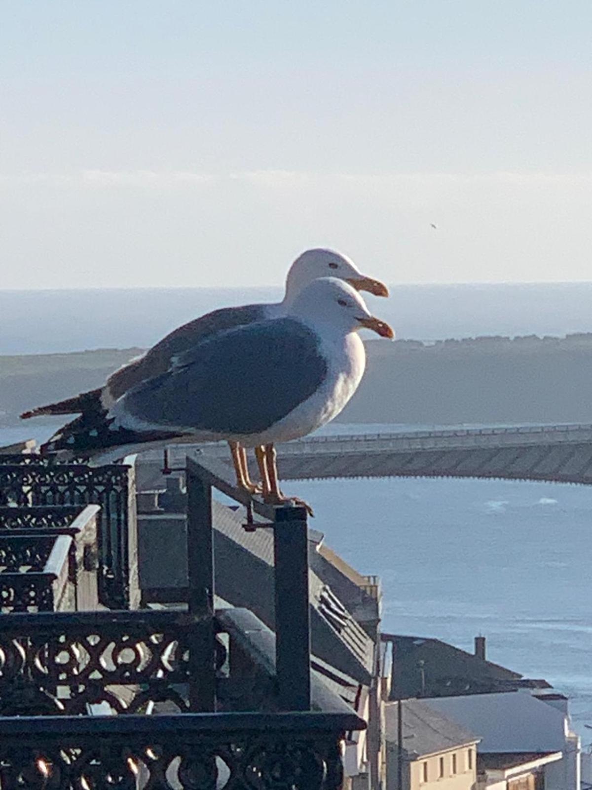 Moderno Piso Con La Mejor Terraza De Ribadeo Y Vistas Maravillosas Buitenkant foto